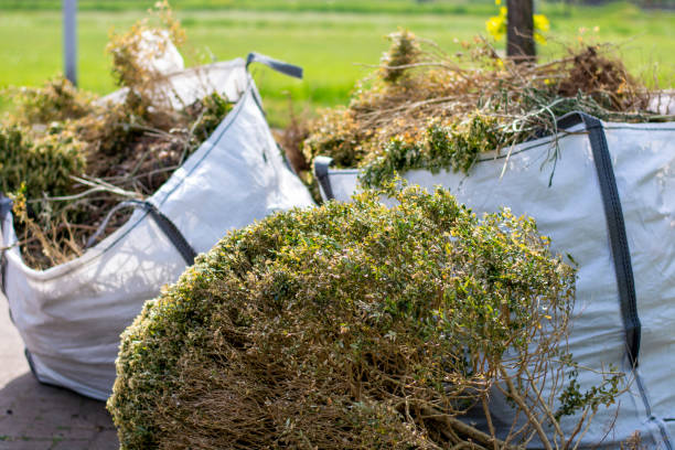 Best Yard Cleanup Services  in Emigsville, PA